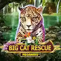 Big Cat Rescue Megaways